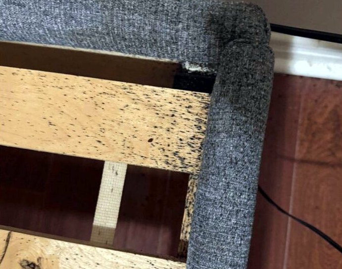 Furniture frame showing a bed bug infestation
