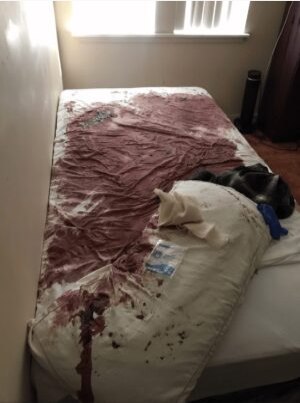 Stained mattress before biohazard remediation