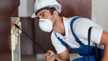 Professional cleanup and disinfecting services