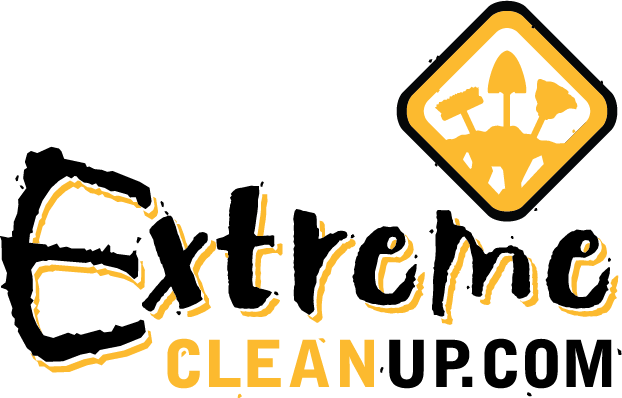 Extreme Cleanup